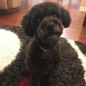 Meet your Posher, Denise